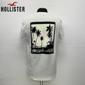Hollister mens shirt